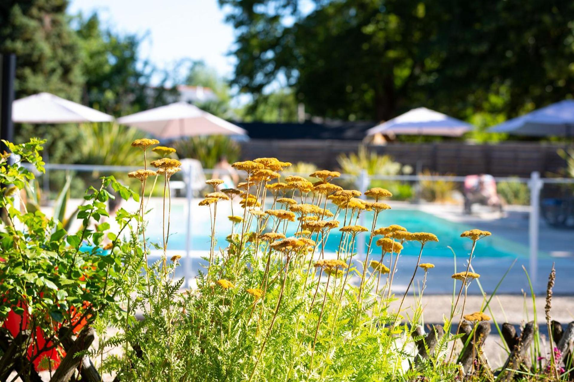 Hotel Mileade Le Domaine De La Blairie - Saumur Saint-Martin-de-la-Place Exterior photo